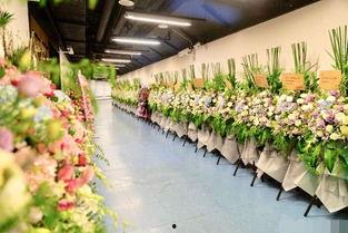 花篮网爆料最新视频,精彩瞬间不容错过