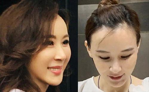 我们变成明星了,我们的明星之路