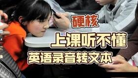 英语配音视频一个人,Unveiling the Journey: A Solo Voice in the English Dubbing Video World