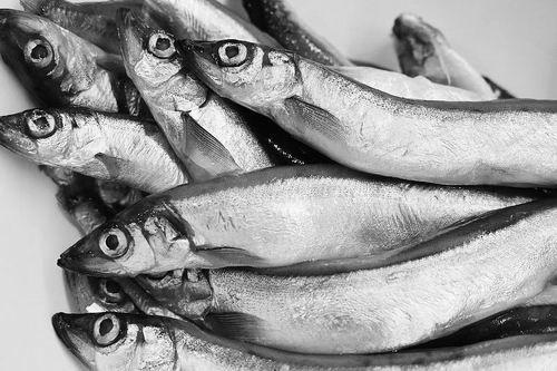 小鱼日本写真,小鱼日本写真集