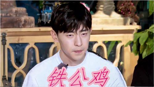 娱乐圈爆料合集是什么,揭秘明星幕后故事