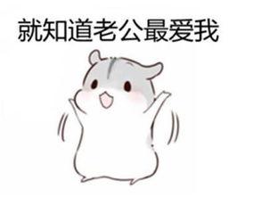 含老公棒棒睡,揭秘夫妻美满睡眠之道