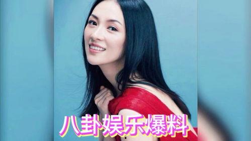娱乐吃瓜酱明星,揭秘明星背后的故事与八卦